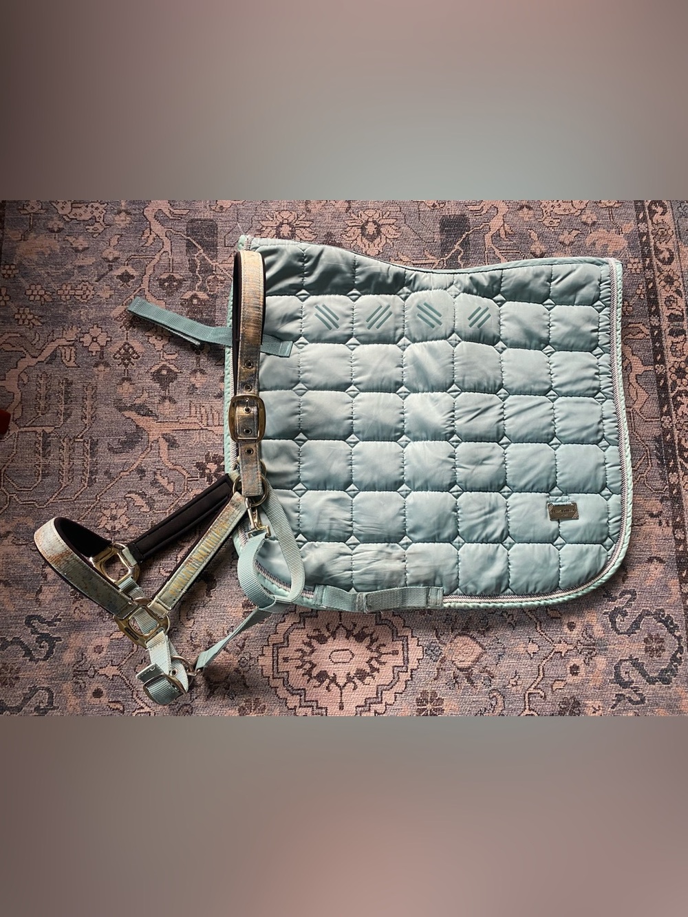 Felix Buhler Quilted Light Teal Horse Saddle Pad and Matching Halter Set